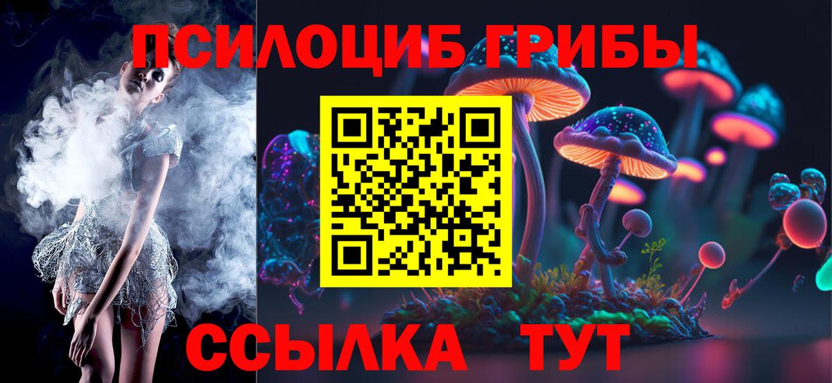Сегежа  Псилоцибиновые грибы мицелий  Вход с VPN 