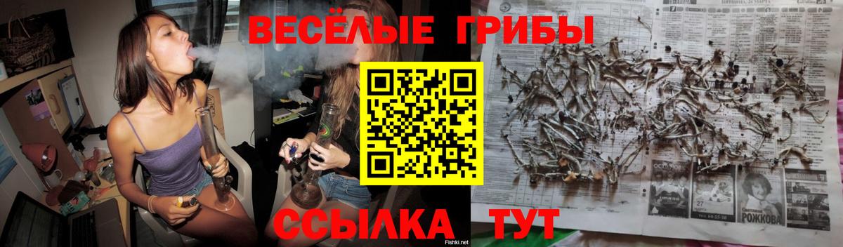 Галлюциногенные грибы мухоморы Сегежа
